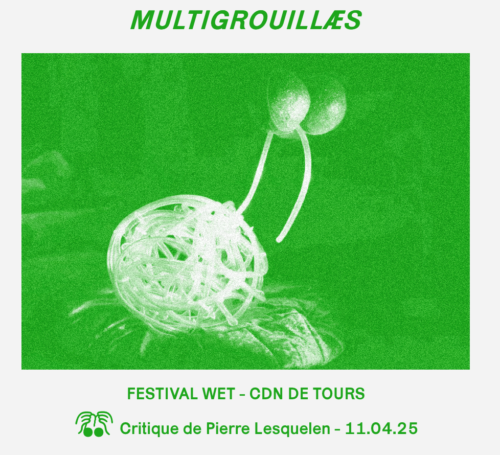 article mutigrouillaes detective sauvage